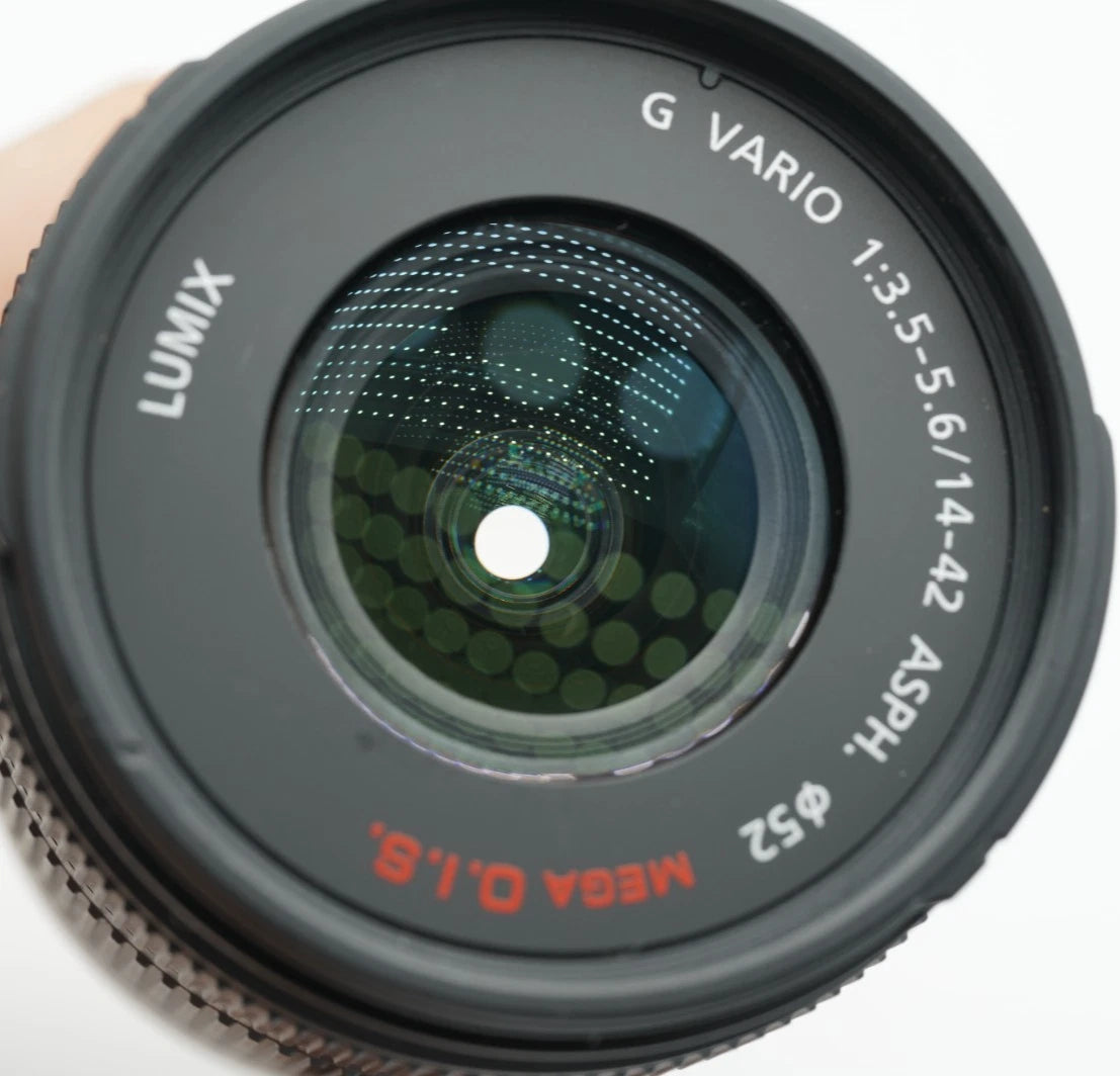 Panasonic LUMIX DMC-GX1 digital camera [SC 3352] #006